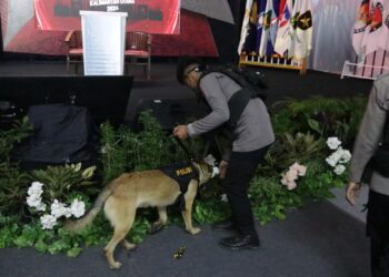 personel OMP Kayan 2024 Sukses Kawal Debat Paslon Gubernur dan Wakil Gubernur Kaltara