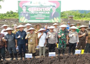 Pemprov Kaltara dan Polda Laksanakan Penanaman Jagung Serentak 1 Juta Hektar