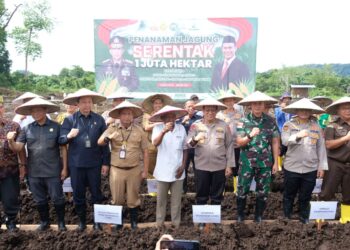 Polda Kaltara Dukung Ketahanan Pangan: Penanaman Jagung Serentak di 28 Titik Tahap Awal