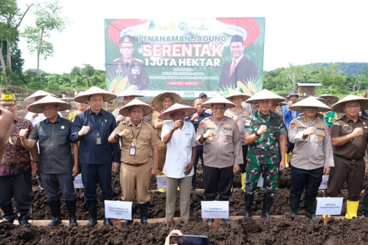 Polda Kaltara Dukung Ketahanan Pangan: Penanaman Jagung Serentak di 28 Titik Tahap Awal