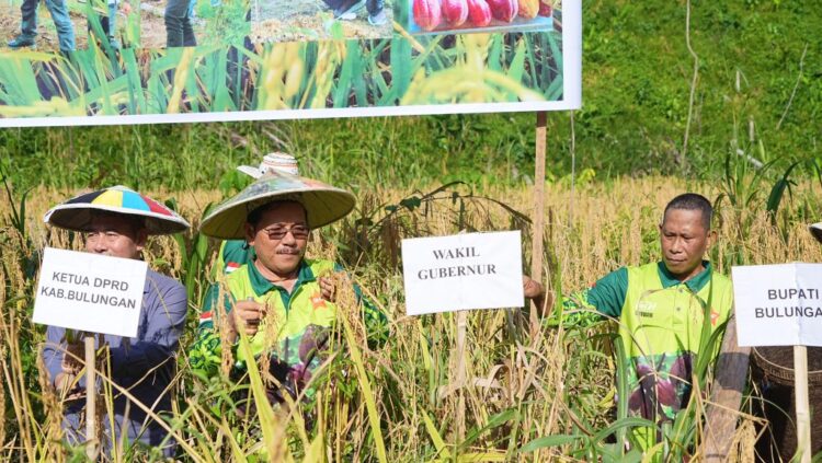 Panen Padi Gogo, Wagub Ingkong Dukung Penuh Swasembada Pangan