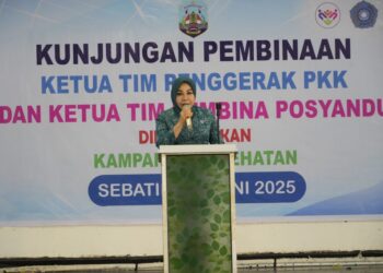 Dipimpin Hj. Rahmawati Zainal, TP PKK Kaltara Sukses Gelar Bakti Sosial di Sebatik, Nunukan