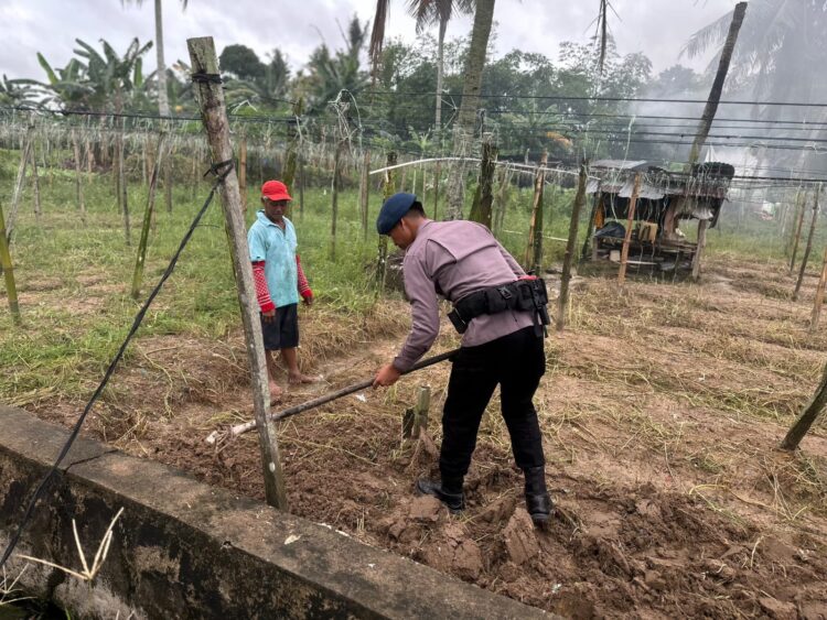 Detasemen Gegana Satbrimob Polda Kaltara Dukung Ketahanan Pangan Dengan Budidaya Kangkung