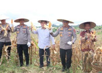 Kapolda Kaltara Hadiri Panen Raya Jagung Serentak di Desa Kelubir “Wujud Komitmen Dukung Swasembada Pangan Nasional”