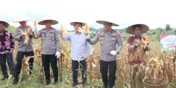 Kapolda Kaltara Hadiri Panen Raya Jagung Serentak di Desa Kelubir “Wujud Komitmen Dukung Swasembada Pangan Nasional”