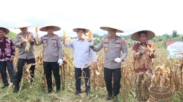 Kapolda Kaltara Hadiri Panen Raya Jagung Serentak di Desa Kelubir “Wujud Komitmen Dukung Swasembada Pangan Nasional”