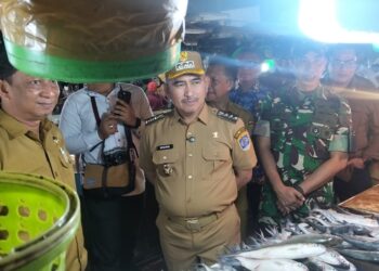 Sidak Walikota Temukan Harga Cenderung Stabil Jelang Idul Adha
