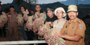 Pemprov Kaltara Dan Pemkab Enrekang, Siap Jalin Kerja Sama Jaga Stabilitas Pangan Nasional