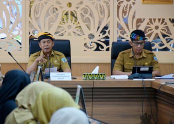 Pemprov Dorong Penyusunan Rancangan Peraturan Gubernur Perlindungan Hak Penyandang Disabilitas