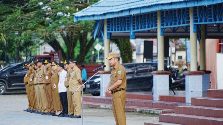 Pj. Sekprov Minta Seluruh OPD Tingkatkan Nilai MCSP Dan SPI Kaltara