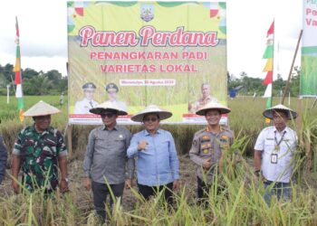 Kabid Humas Polda Kaltara Hadiri Panen Perdana Padi Lokal dan Peresmian Bangsal Pasca Panen di Tanjung Palas Timur