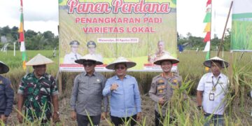 Kabid Humas Polda Kaltara Hadiri Panen Perdana Padi Lokal dan Peresmian Bangsal Pasca Panen di Tanjung Palas Timur