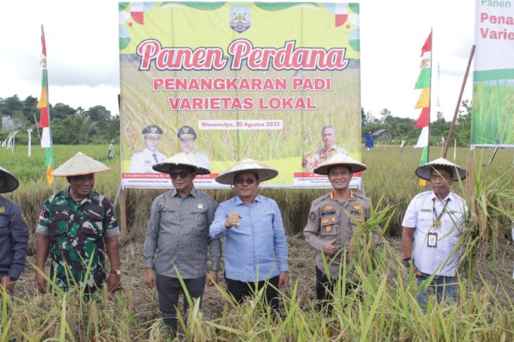 Kabid Humas Polda Kaltara Hadiri Panen Perdana Padi Lokal dan Peresmian Bangsal Pasca Panen di Tanjung Palas Timur