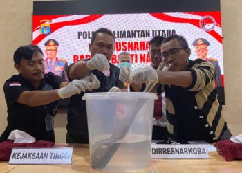 Polda Kaltara Musnahkan Barang Bukti Narkoba, Tegaskan Komitmen Polri Dalam Memberantas Narkotika