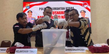 Polda Kaltara Musnahkan Barang Bukti Narkoba, Tegaskan Komitmen Polri Dalam Memberantas Narkotika