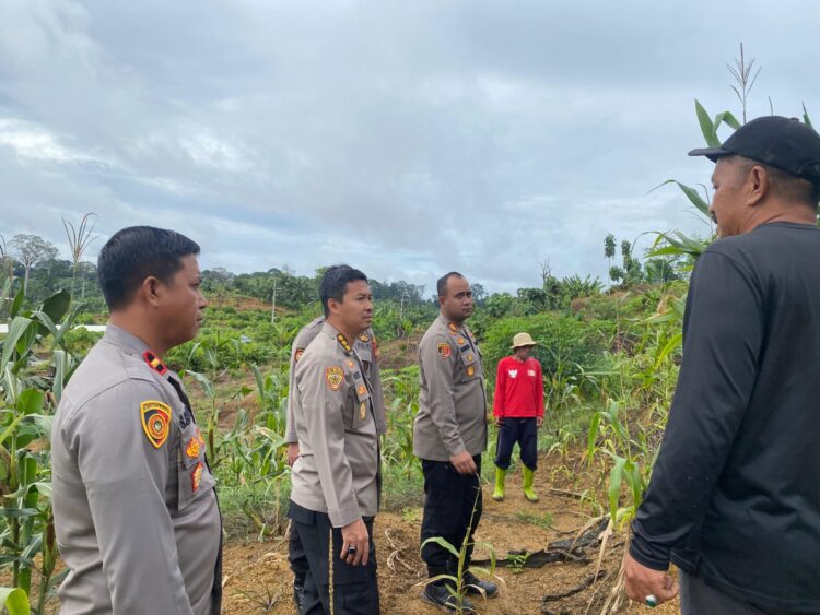 Karo SDM Polda Kaltara Pantau Ketahanan Pangan di Desa Sesua Malinau Barat