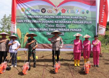 Kapolda Kaltara Pimpin Penanaman Jagung Serentak Kuartal IV, Perkuat Swasembada Pangan 2025