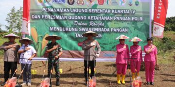 Kapolda Kaltara Pimpin Penanaman Jagung Serentak Kuartal IV, Perkuat Swasembada Pangan 2025