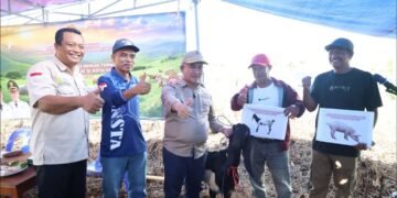 Dukung Ketahanan Pangan, Walikota Hibahkan 24 Ekor Kambing