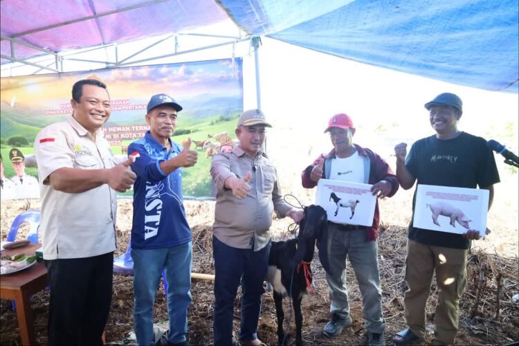 Dukung Ketahanan Pangan, Walikota Hibahkan 24 Ekor Kambing