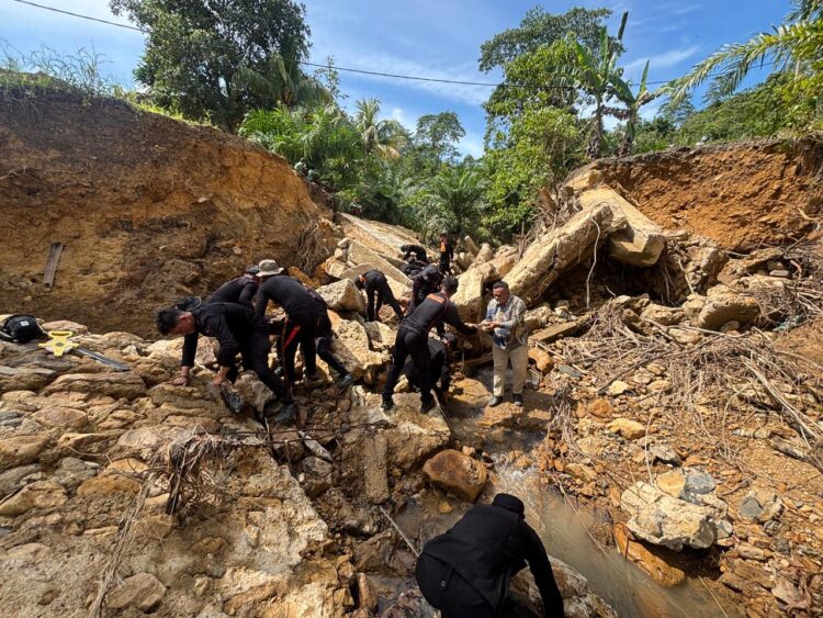 Brimob Polda Kaltara Bangun Kembali Jembatan Roboh akibat Longsor di Sebatik Tengah