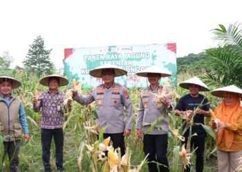 Serentak Diseluruh Indonesia, Kapolda Kaltara Pimpin Langsung Panen Raya Jagung di Desa Antutan