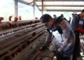 Dukung Ketahanan Pangan, Kapolda dan Wakapolda Kaltara Tinjau Budidaya Ayam Petelur di Desa Tanjung Agung