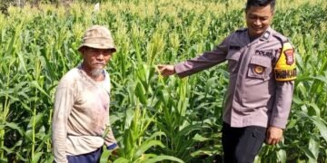 Bhabinkamtibmas Polsek Tarakan Timur Patroli Dialogis, Dukung Program Ketahanan Pangan