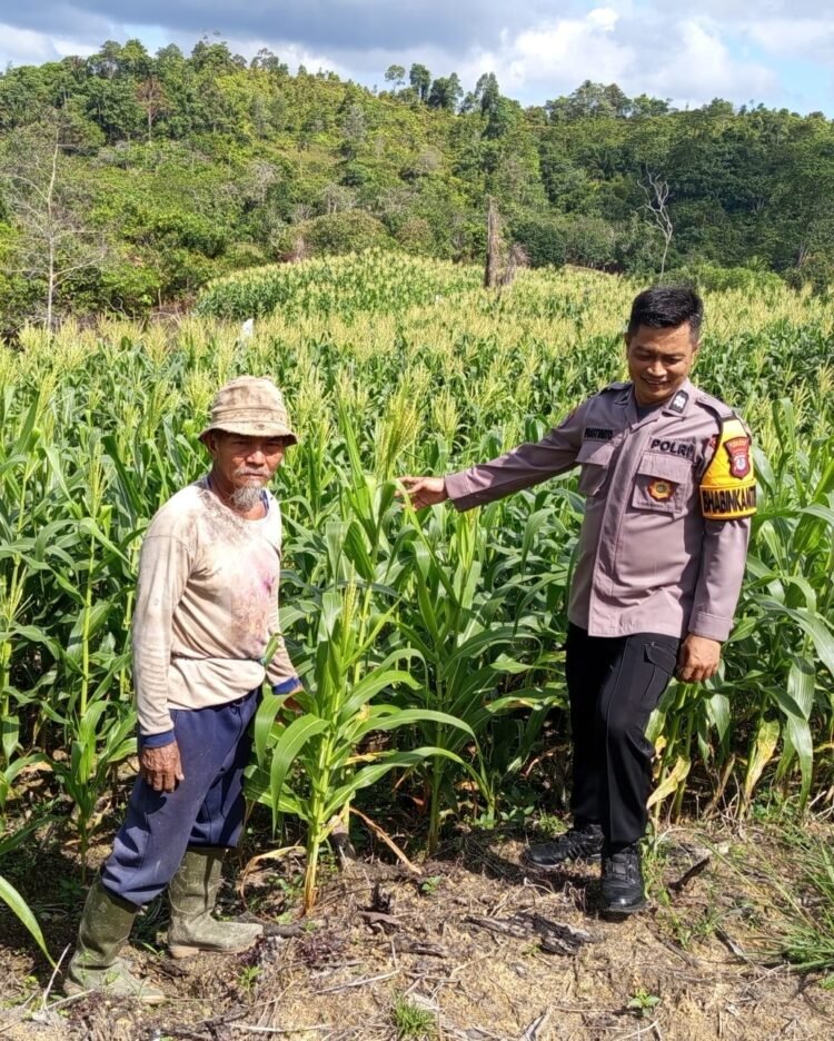 Bhabinkamtibmas Polsek Tarakan Timur Patroli Dialogis, Dukung Program Ketahanan Pangan