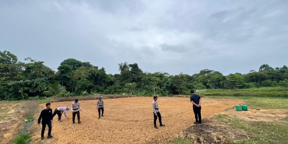 Dukung Program Ketahanan Pangan Nasional, Kapolsek Sesayap Hilir Tinjau Kesiapan Lahan