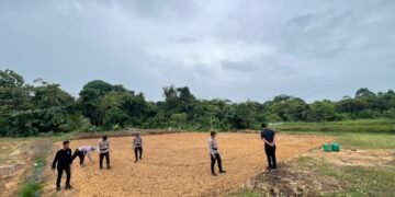 Dukung Program Ketahanan Pangan Nasional, Kapolsek Sesayap Hilir Tinjau Kesiapan Lahan