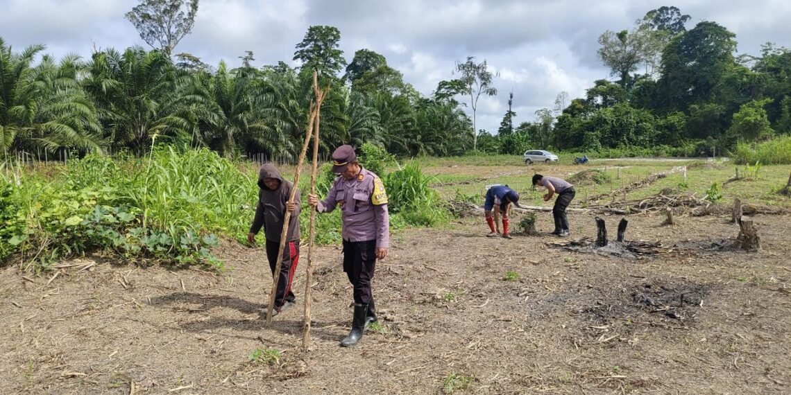 Wujud Dukungan Polri terhadap Ketahanan Pangan Nasional, Kapolsek Sembakung Pimpin Pengolahan Lahan