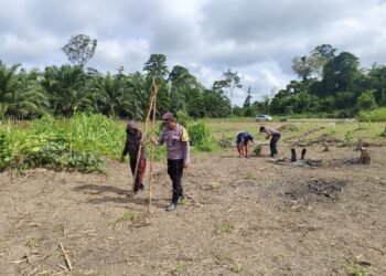 Wujud Dukungan Polri terhadap Ketahanan Pangan Nasional, Kapolsek Sembakung Pimpin Pengolahan Lahan