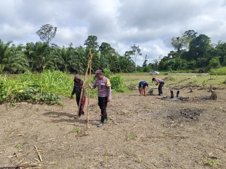 Wujud Dukungan Polri terhadap Ketahanan Pangan Nasional, Kapolsek Sembakung Pimpin Pengolahan Lahan