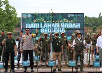 Terlibat Langsung Dipenanaman Mangrove, Kapolda Kaltara Tegaskan Komitmen Jaga Ekosistem Pesisir