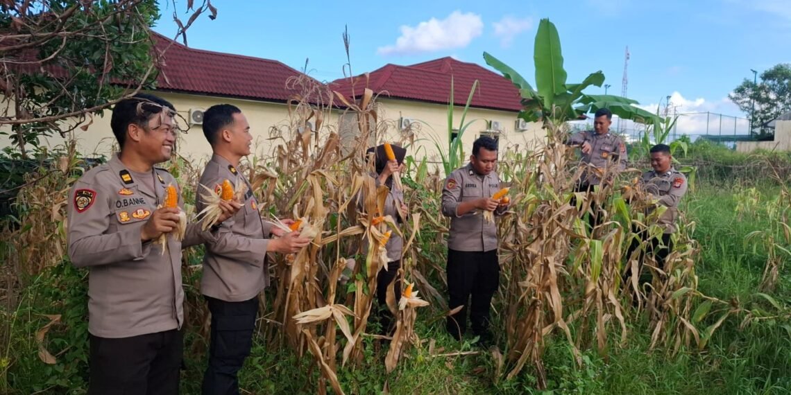 Dukung Program Ketahanan Pangan, Personil Polda Kaltara Manfaatkan Lahan Kosong
