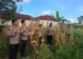 Dukung Program Ketahanan Pangan, Personil Polda Kaltara Manfaatkan Lahan Kosong