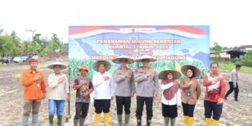Target Swasembada Pangan, Polda Kaltara dan Forkopimda Tanam Jagung Serentak di Bumi Rahayu