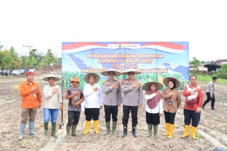 Target Swasembada Pangan, Polda Kaltara dan Forkopimda Tanam Jagung Serentak di Bumi Rahayu