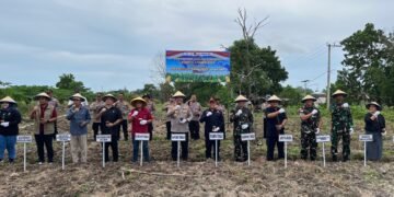 Kapolres Bersama Forkopimda Laksanakan Penanaman Jagung Serentak