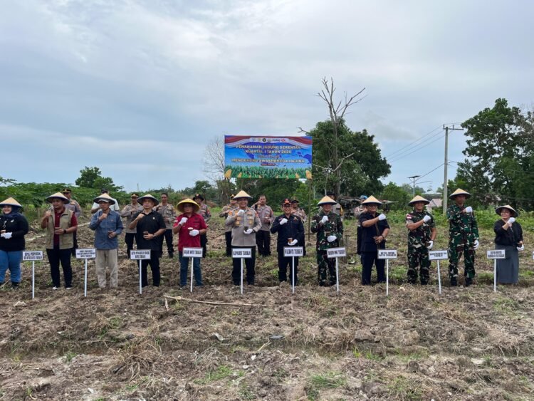 Kapolres Bersama Forkopimda Laksanakan Penanaman Jagung Serentak