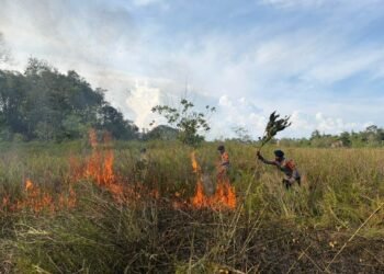 Quick Response Tim SAR Brimob Polda Kaltara Padamkan Kebakaran Lahan di Aki Balak