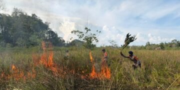 Quick Response Tim SAR Brimob Polda Kaltara Padamkan Kebakaran Lahan di Aki Balak