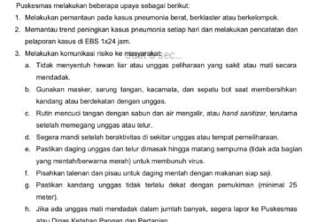 Surat Edaran Flu Burung Diduga Hoaks Beredar di Berbagai Platform Medsos