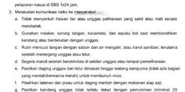 Surat Edaran Flu Burung Diduga Hoaks Beredar di Berbagai Platform Medsos