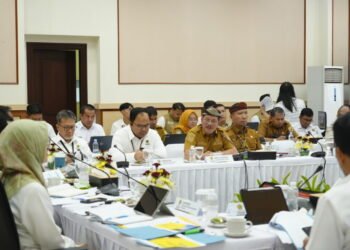 123 Desa di Perbatasan Kaltara Belum Berlistrik, Wagub Dukung Percepatan Lisdes