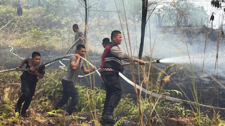 Gerak Cepat, Dit Samapta dan Satbrimob Polda Kaltara Jinakkan Karhutla di Jl. Poros Tanjung Selor KM 4