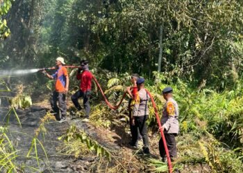 Sigap! Brimob Polda Kaltara Jinakkan Karhutla di Jelarai Hulu