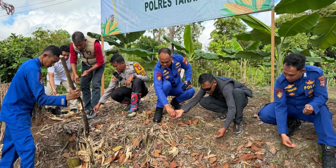 Polres Tarakan Laksanakan Penanaman Jagung Pipil Kuartal II