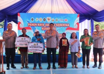 Wujudkan Swasembada, Kapolda Kaltara Pimpin Panen Raya Jagung Serentak di Tarakan